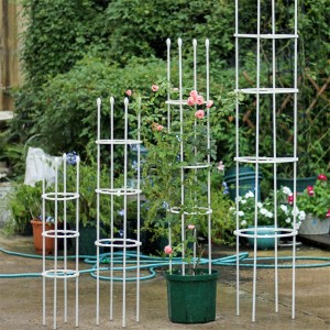 plant support