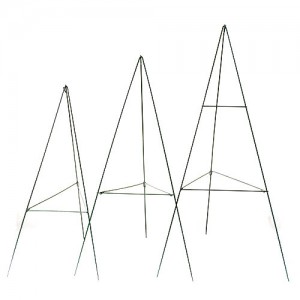 Tomato Trellis